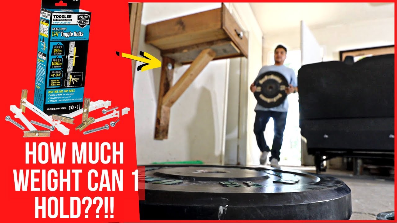 I Tested How Much Weight a Single Toggler SnapToggle Bolt Could Hold
