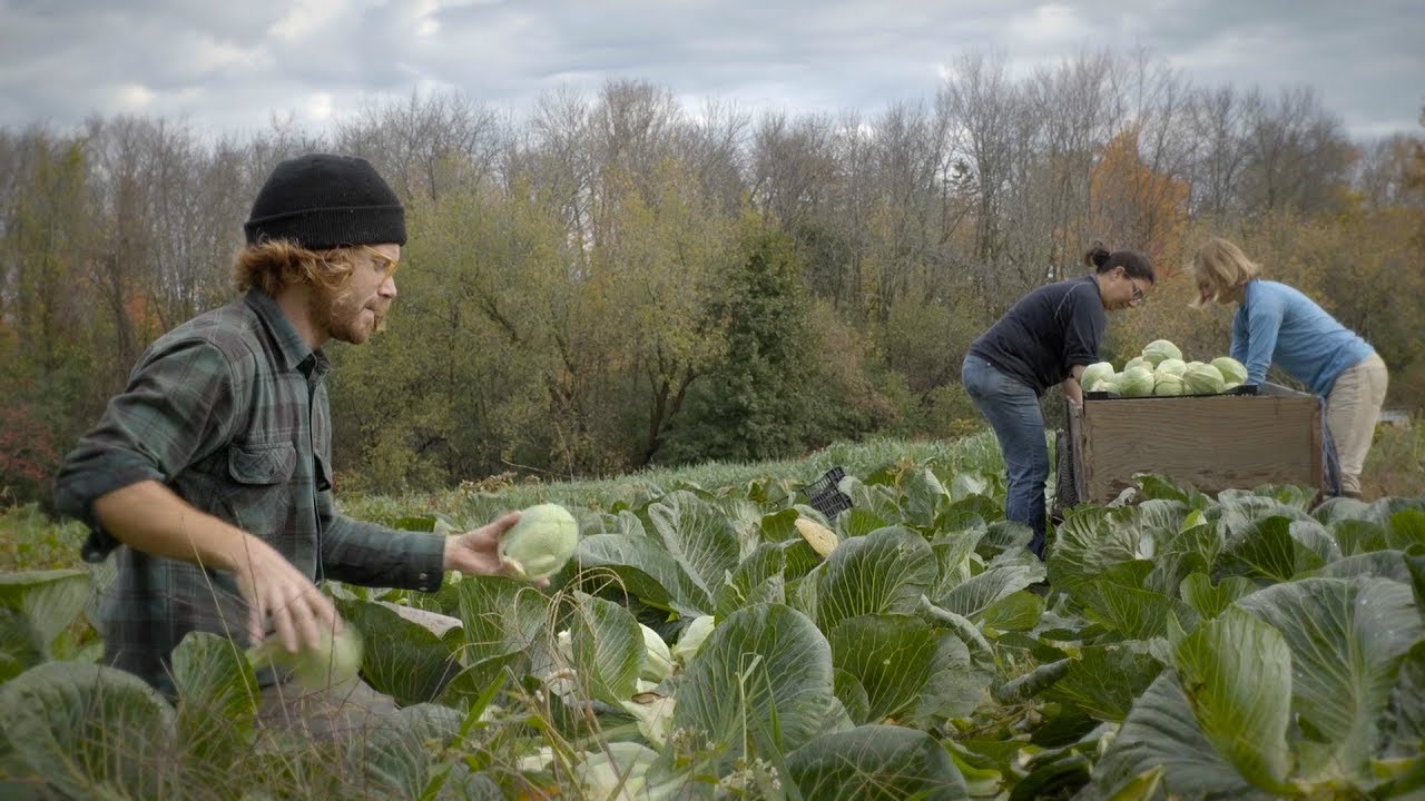 Le Montréal agricole, vous connaissez?