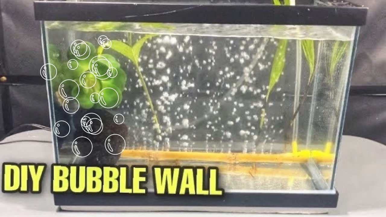 How to Make Aquarium Bubble Wall? #fishtank