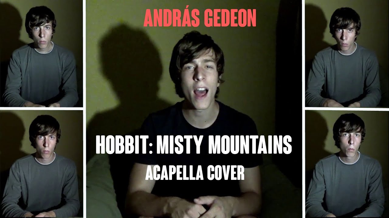 Hobbit - Misty Mountains Cold | Acapella Cover | András Gedeon