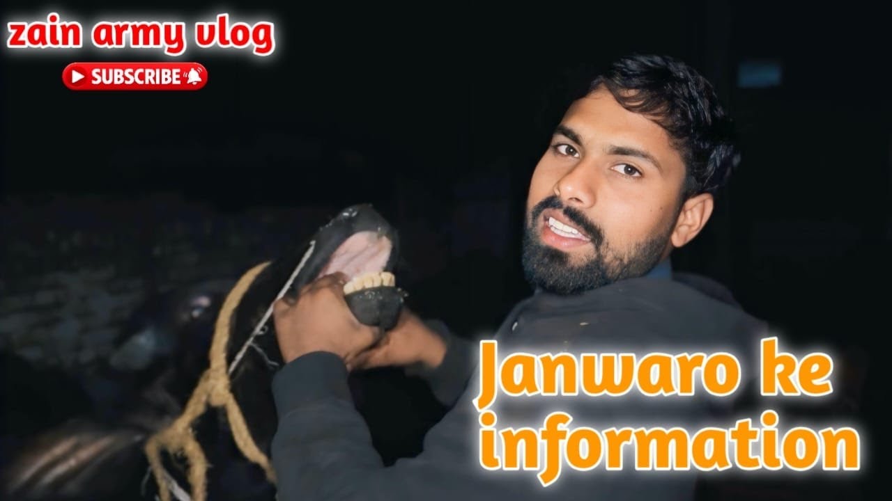Animal 🦒 information 