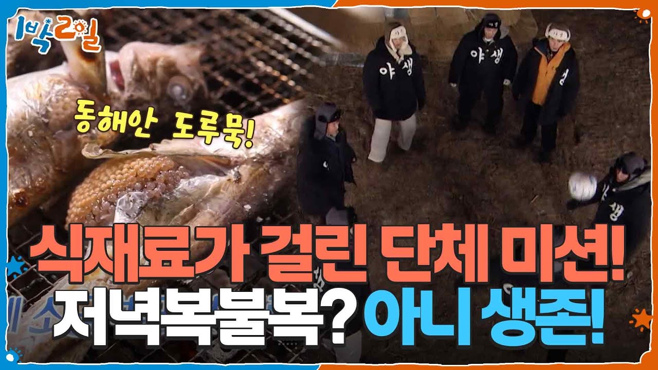 식재료가 걸린 단체 미션! 저녁복불복이라 쓰고 생존이라 읽는다♨ [1박 2일 시즌4/Two Days and One Night 4] | KBS 260125 방송