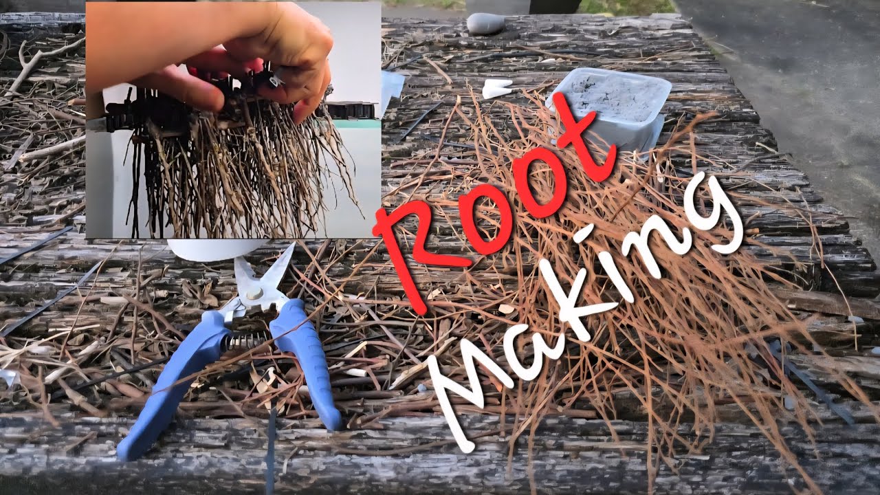 Creating Root System in my IAPLC World Champion tank