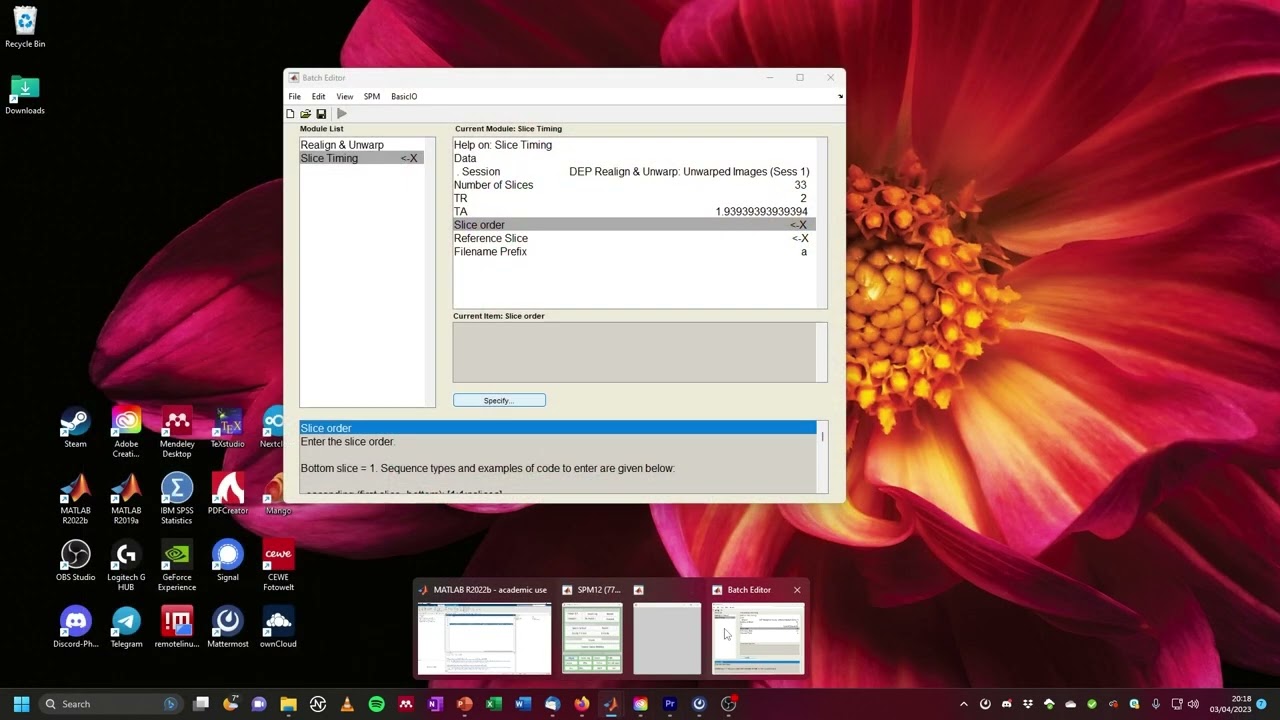 fMRI Analysis with SPM: Functional Preprocessing (with GUI)