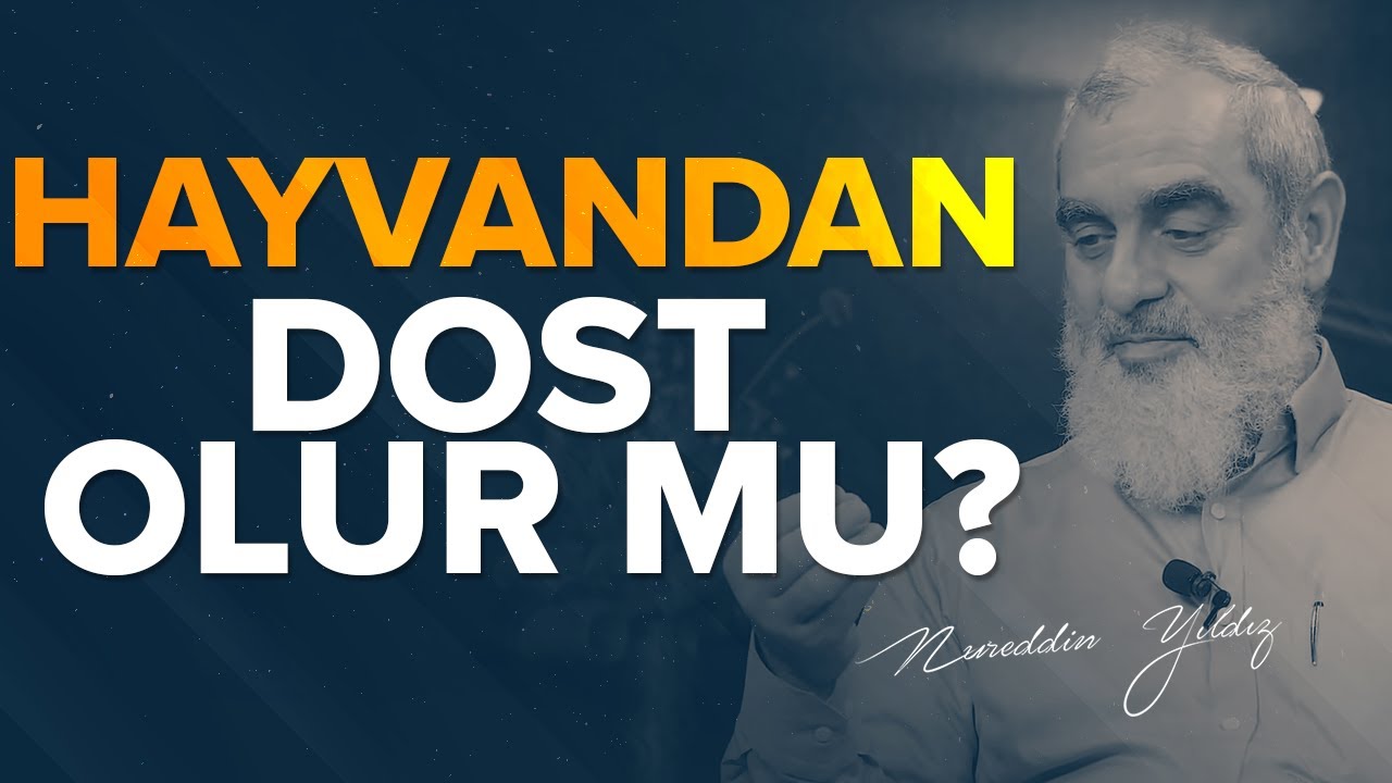 HAYVANDAN DOST OLUR MU? | Nureddin Yıldız