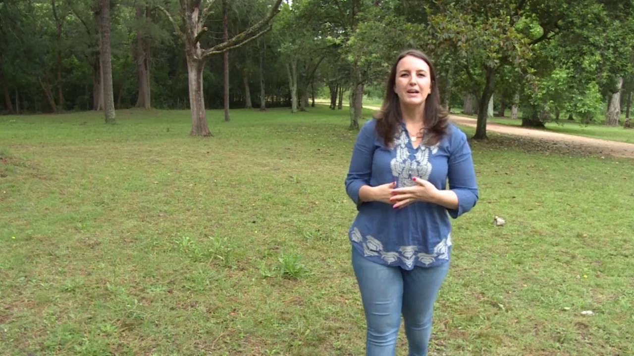 Reporte Diario - Parque Artigas de Sauce 12.07.16