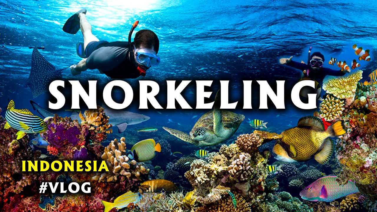 Crazy underwater Exploring 😍கடலுக்கு அடியில்  இது வேற உலகம்🤩 Bali || Snorkelling || Indonesia