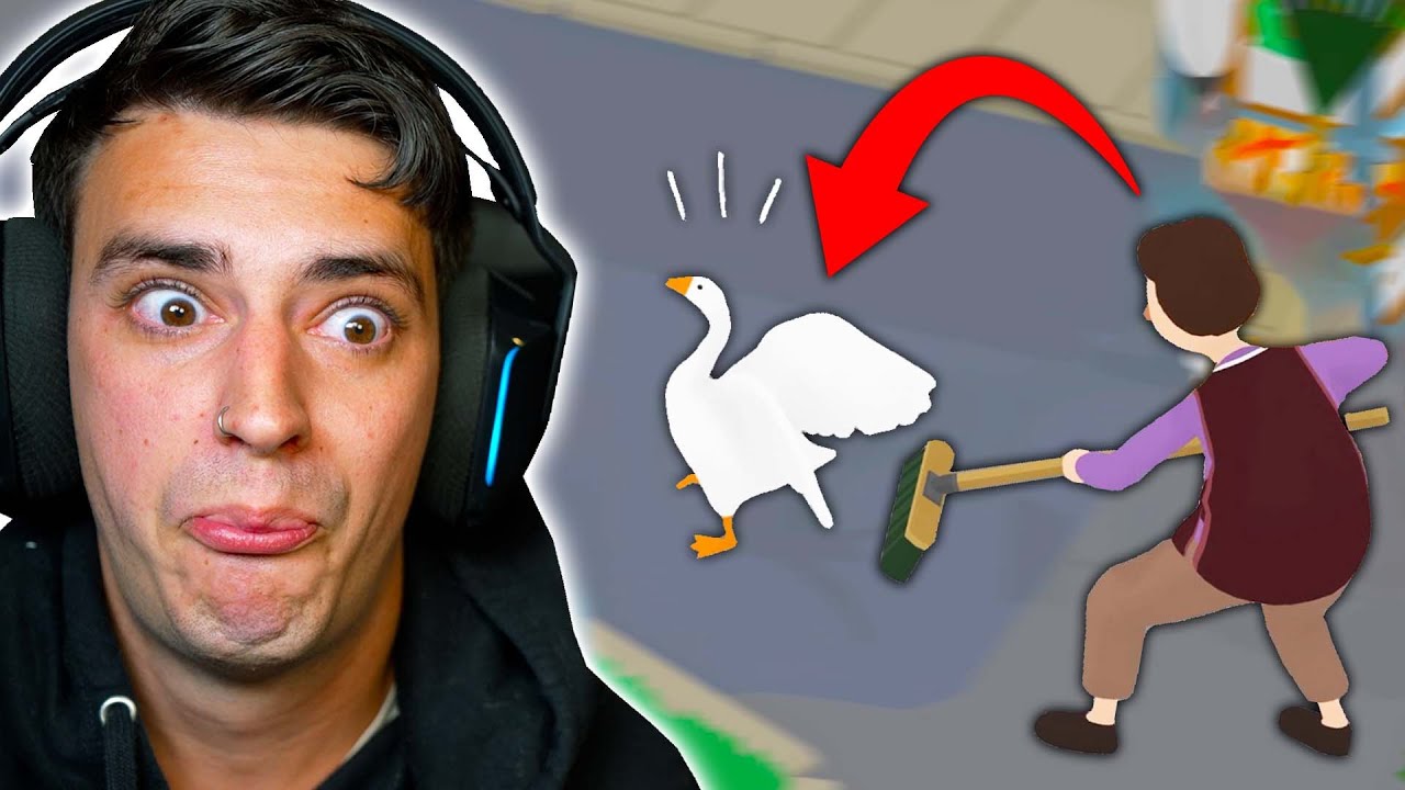 ANNOYING GOOSE SIMULATOR.