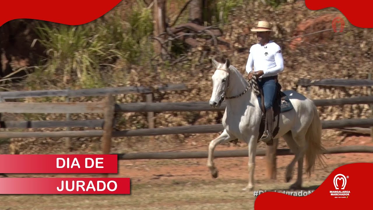 DIA DE JURADO COM FABIANO BITTENCOURT