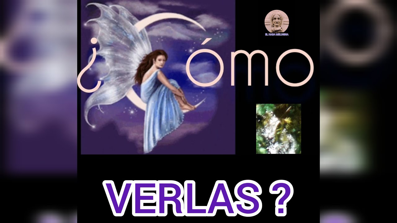 &iquest;C&Oacute;MO VER HADAS REALES? Primero, debes conocer SUS PRINCIPIOS y lo que DETESTAN. Sergio Arrieta