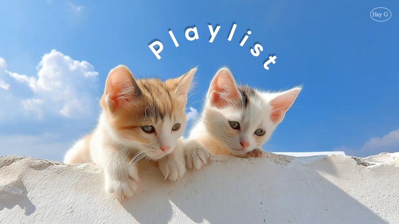 playlist 💕 Что за интро..? Теплое весеннее настроение 🌼 Bright Morning POPㅣCafe BGM | HayG