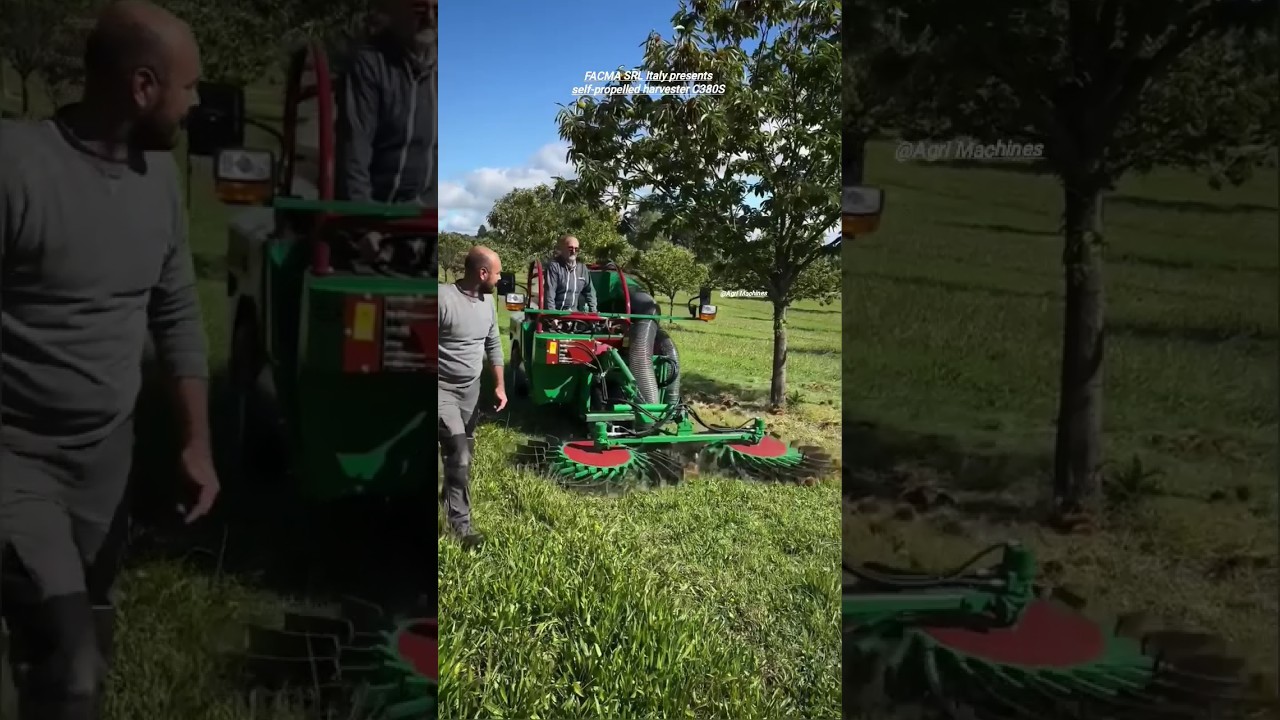 Self-Propelled Nuts Harvester C380 S || Made By FACMA SRL Italy || #farming #agriculture