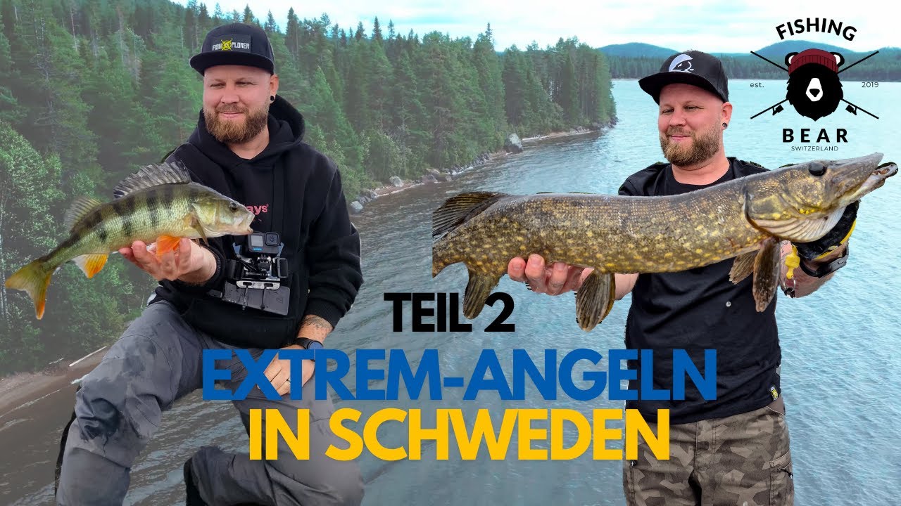 Barsch MASSAKER in Schweden! Teil 2🌲🚐🐟