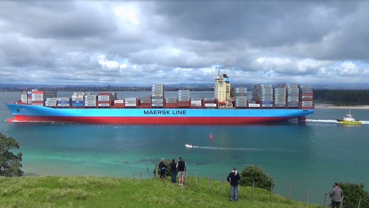 Maiden Call | Aotea Maersk | Tauranga New Zealand