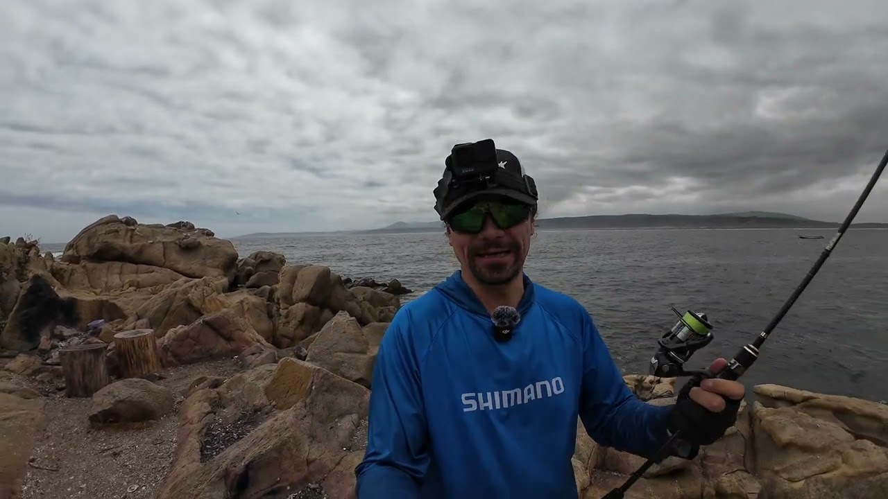 SHIMANO VANQUISH VS STELLA 