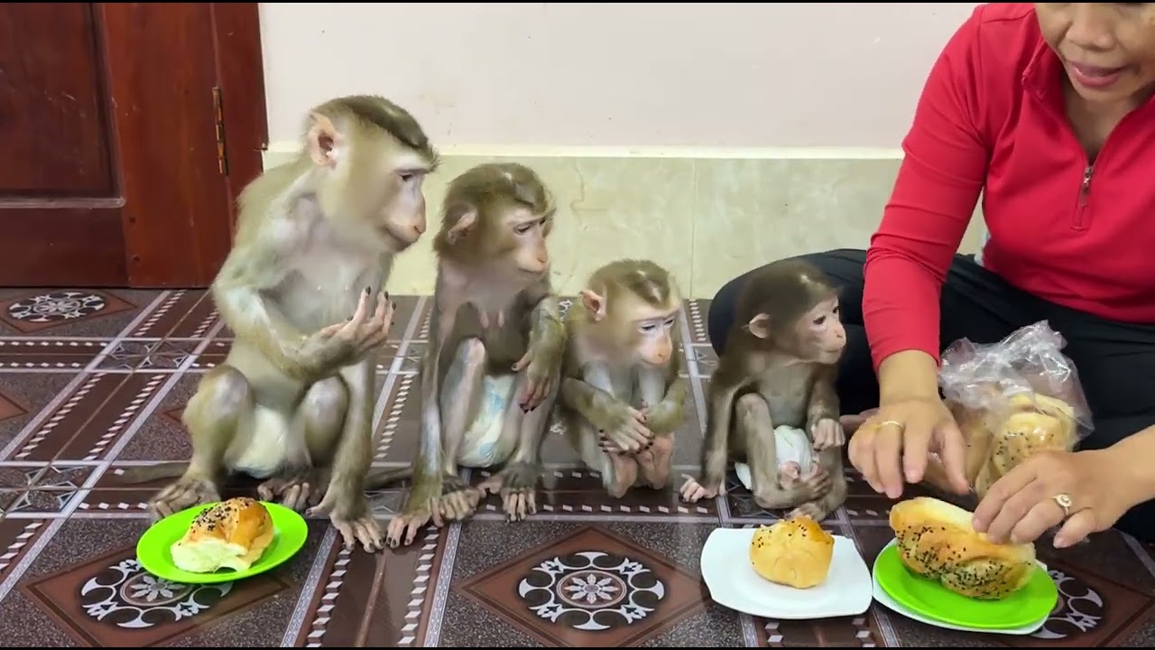 Sovan & Sovanny sit very mannerly in line wait mom prepare donut cake to eat very tasty .
