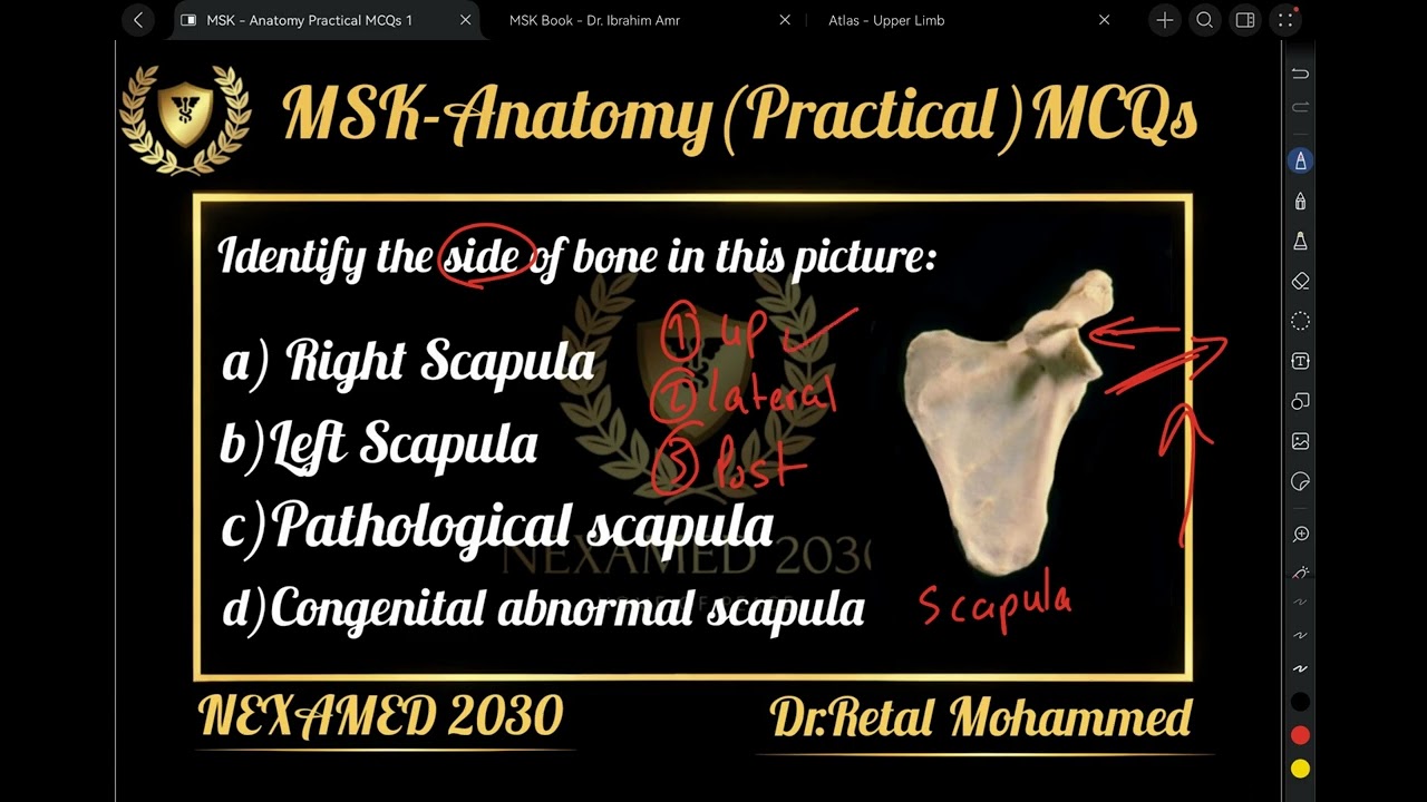 Clavicle, Scapula, & Humerus | Practical Anatomy MCQs | MSK | Ammar Kashlan