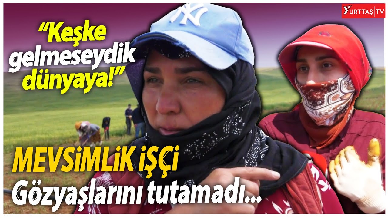 Mevsimlik tarım işçisi gözyaşlarını tutamadı! 