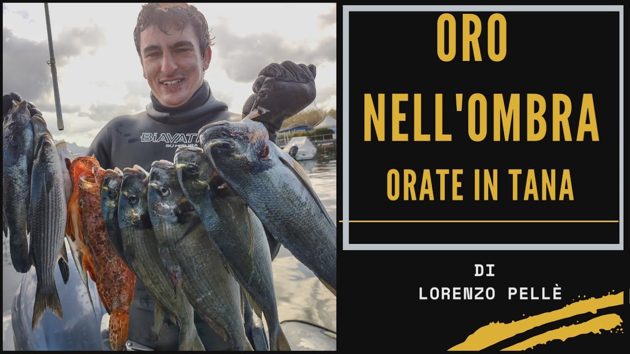 PescaSub Sardegna: Oro nell'ombra, ORATE IN TANA
