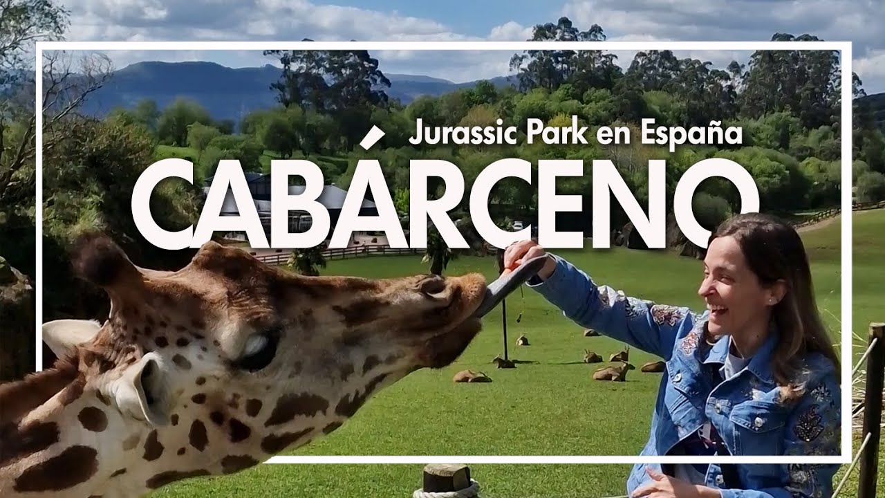 CABÁRCENO 🦒🐘 I ¿Merece la pena? Consejos para tu visita 🙊
