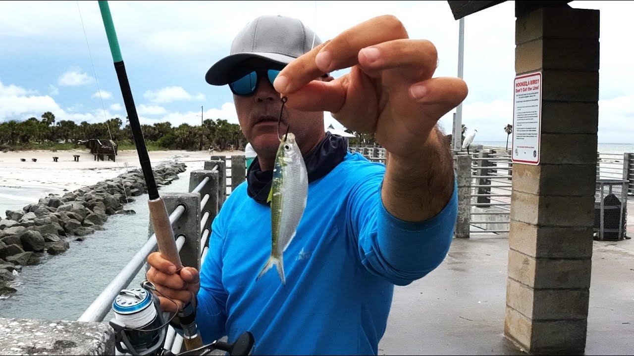How to Have a Successful Day Fishing from any Pier! Lesson 101