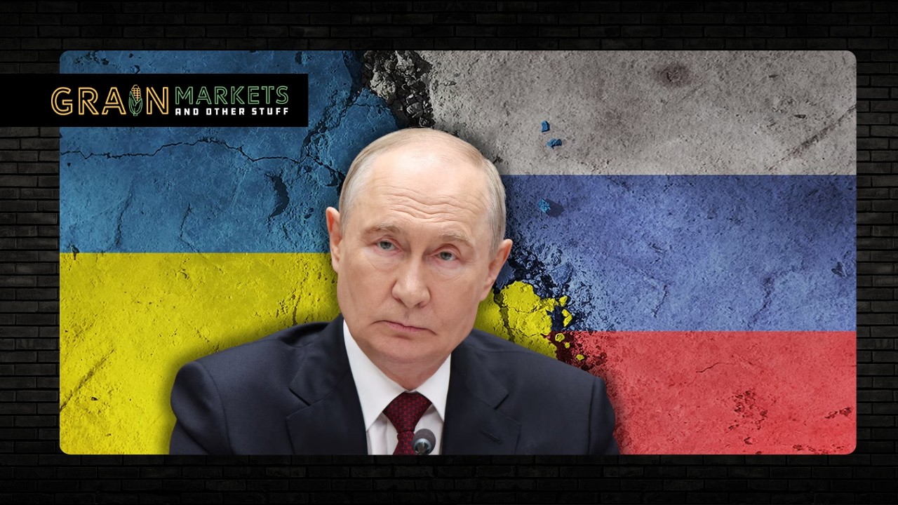 Путин говорит о мире, рынки зерна рухнули