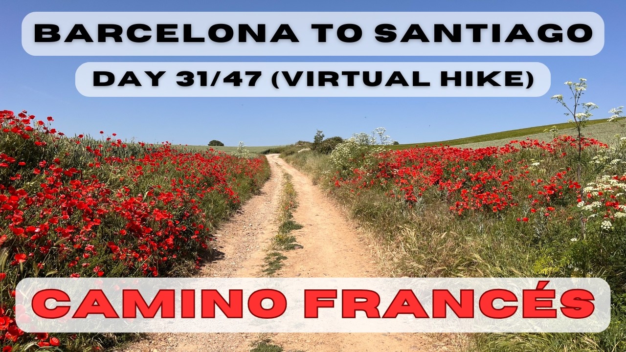 Day 31: Barcelona to Santiago - Burgos to Castrojeriz (Camino Catalan, Aragones, Frances)