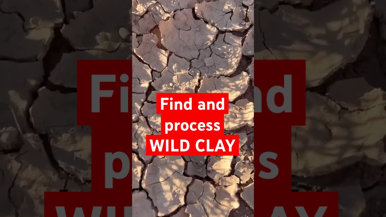 Hogyan tal&aacute;lhatunk vad agyagot B&Aacute;RHOL