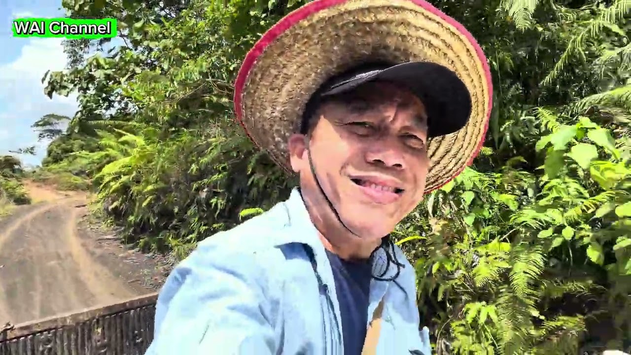 AKTIVITI AMBIL BUAH DURIAN DI KEBUN#viralvideo #duriankampung #youtubechannel