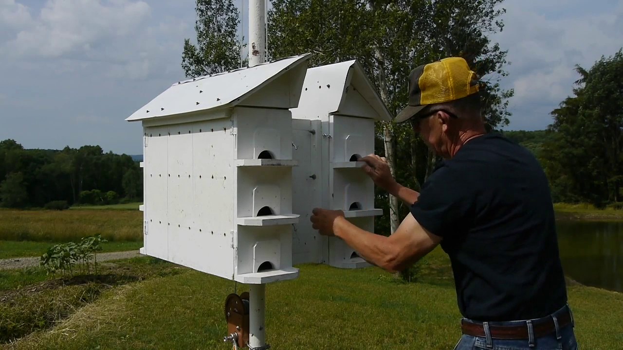 Purple Martin House on a Pole