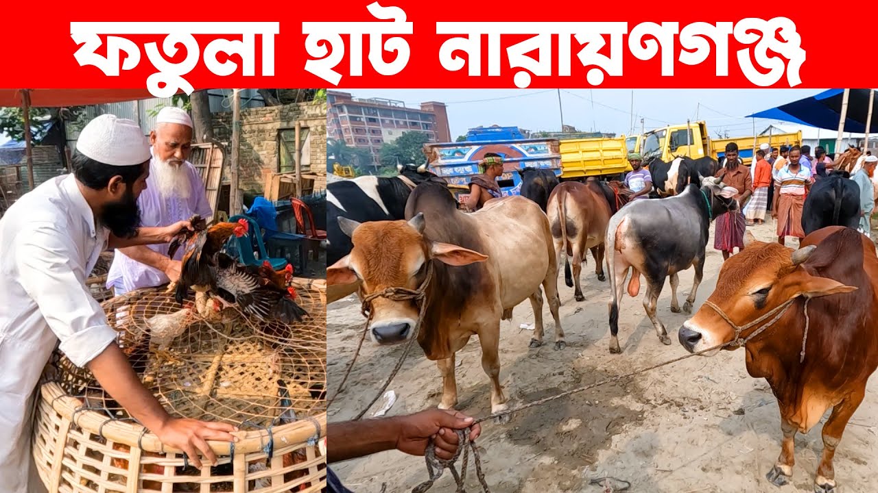 ফতুল্লা হাট নারায়ণগঞ্জ || Village Market || Village Market In Bangladesh || Live Village 24