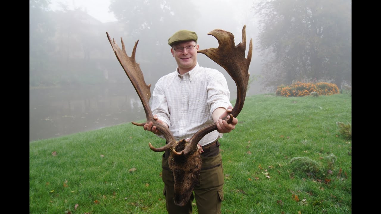 Fallow deer hunting in Poland -  D&aring;hjort Polen (www.ultimatehunting.eu)