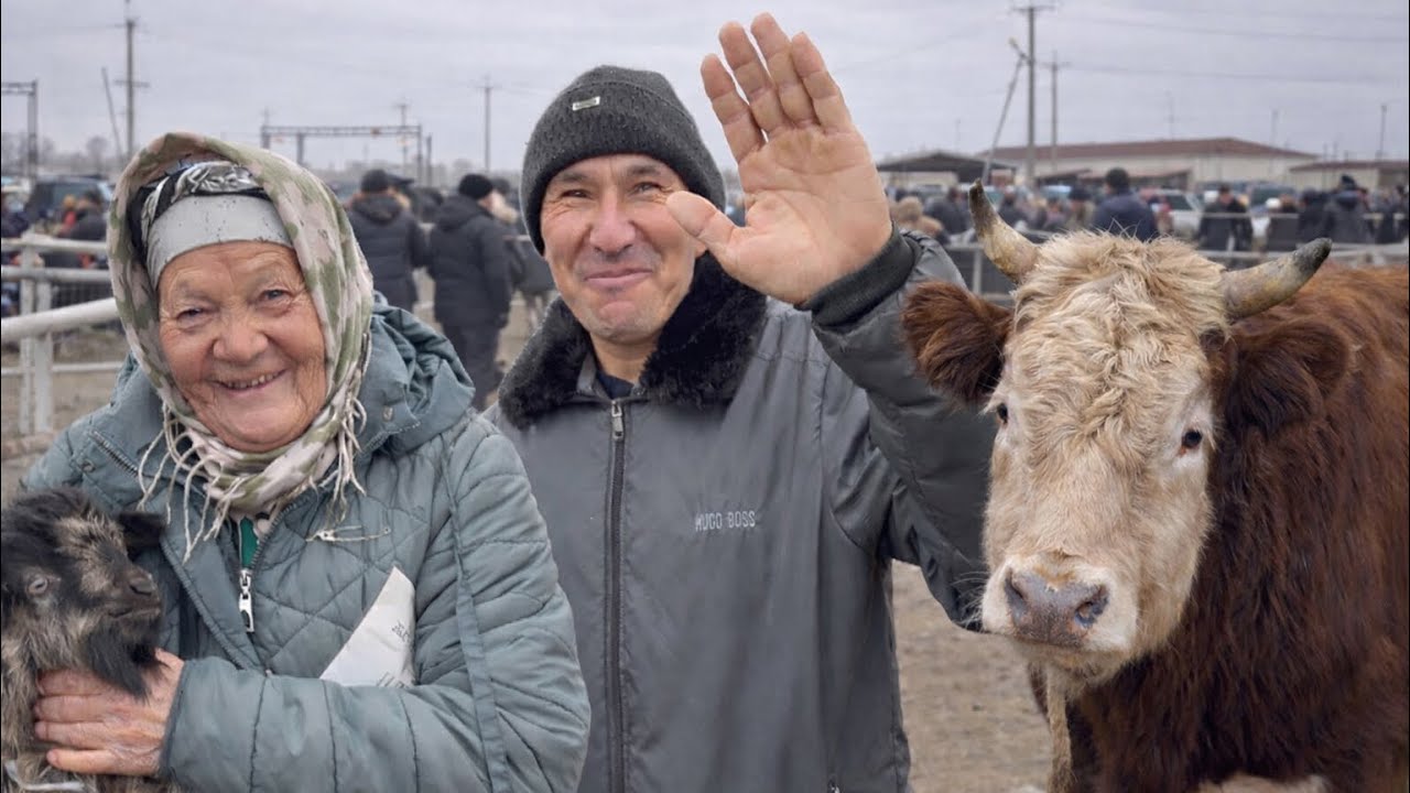 БУГИН!😱ХАЛХАБАД/МАЛ БАЗАРЫ/БАХАЛАРЫ ӨЗГЕРДИ! 19- ФЕВРАЛ 2026 #Халкабадмал базар