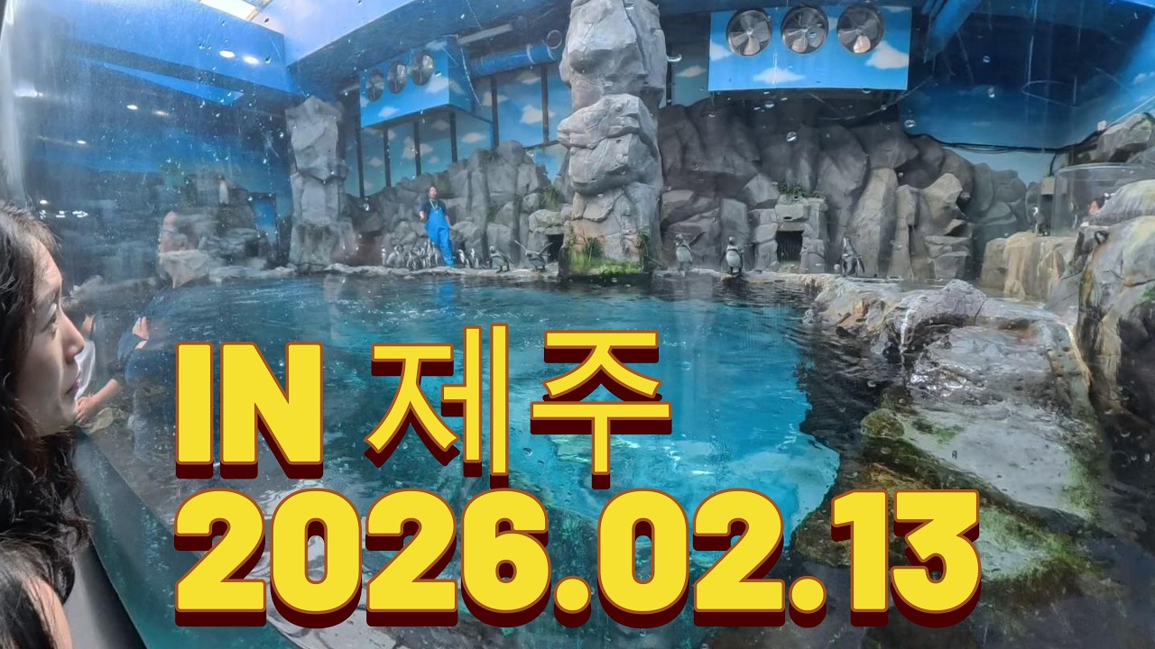 2026.02.13 제주도 여행