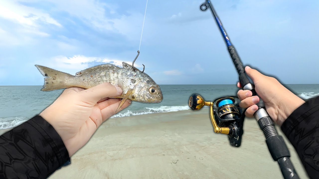 You NEVER Know what will Bite in the SURF.. Epic Beach Fishing