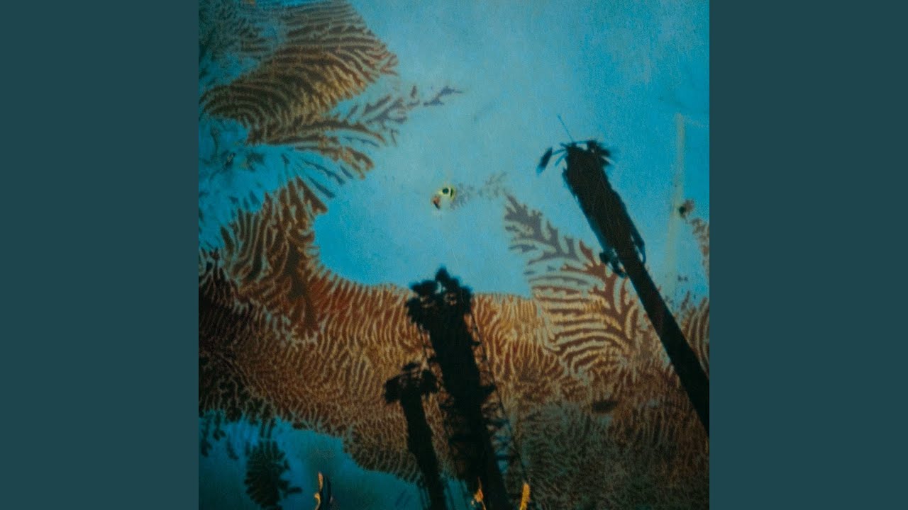 Las Palmeras