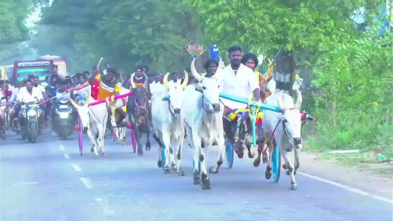 எரிச்சி பெரிய மாடு பந்தையம் 2026