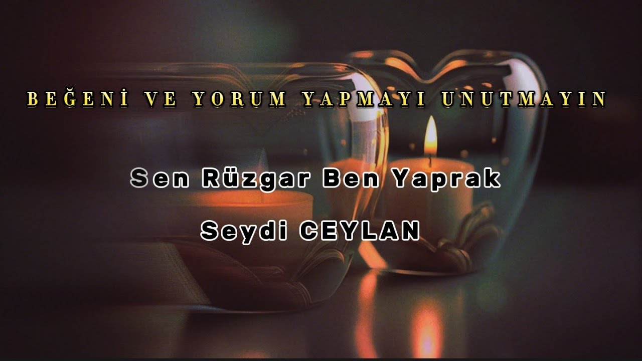 Sen Rüzgar Ben Yaprak - Seydi Ceylan (Elektro Bağlama)