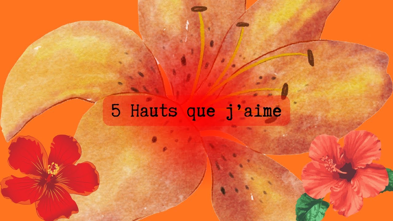 Présentation dressing : 5 Hauts que j'aime