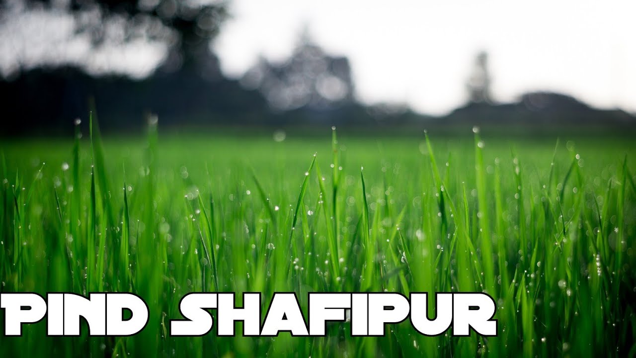 📽️ Shafipur And Sehchangi Pind View And History | Jalandhar | Visit Punjab