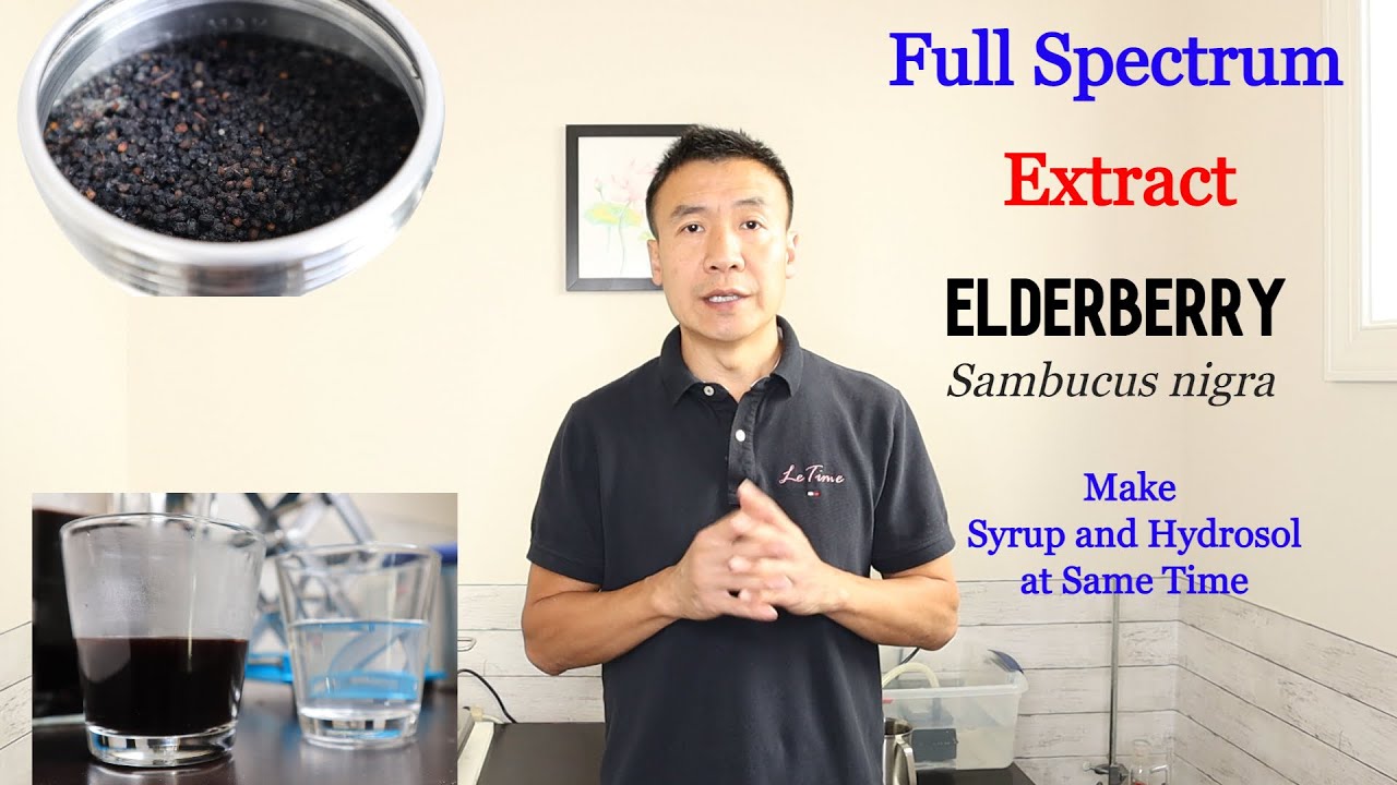 Benefits of Elderberry, Full Spectrum Extraction by Hydro Distillation, Elderberry Extract