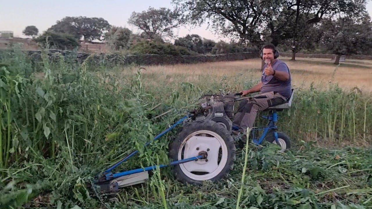 Luchamos contra las especies invasoras😉👍🤣