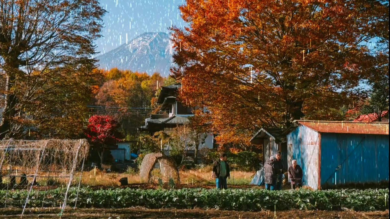 Mountain people Farming Calm Rain sounds for sleeping 