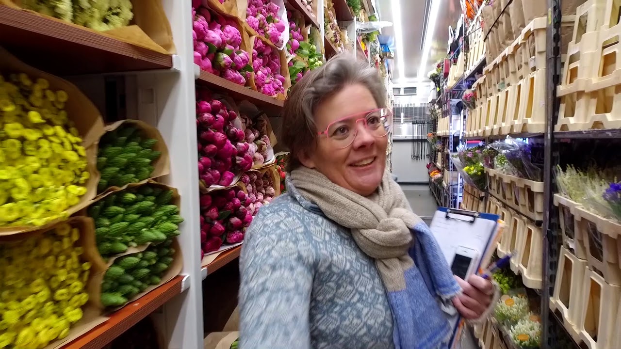 Aarhus får blomster fra Holland