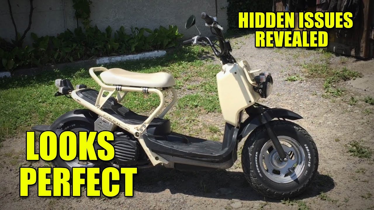 Fixing a Honda ZOOMER -RUCKUS with Hidden Problems!