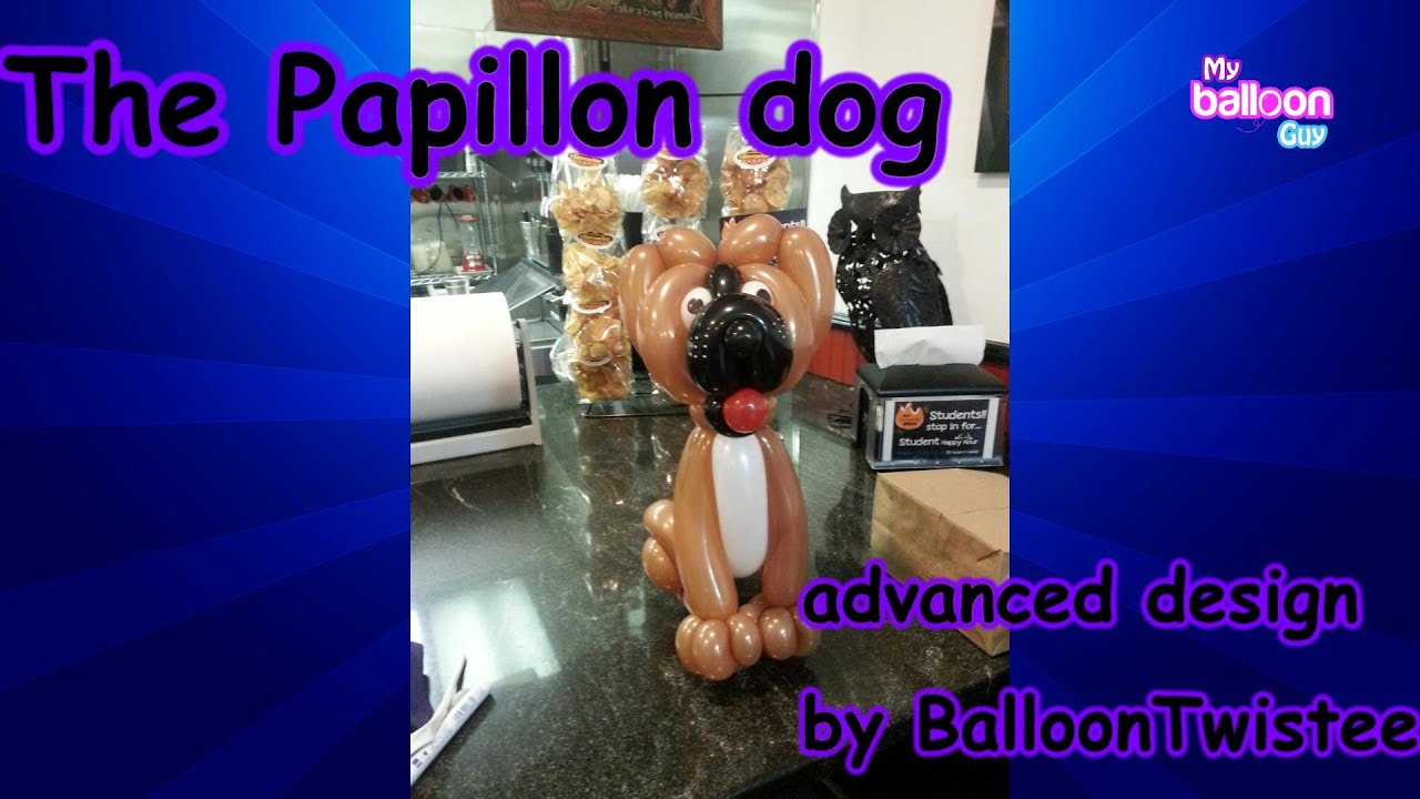 The Papillon Dog Advanced balloon twisting tutorial