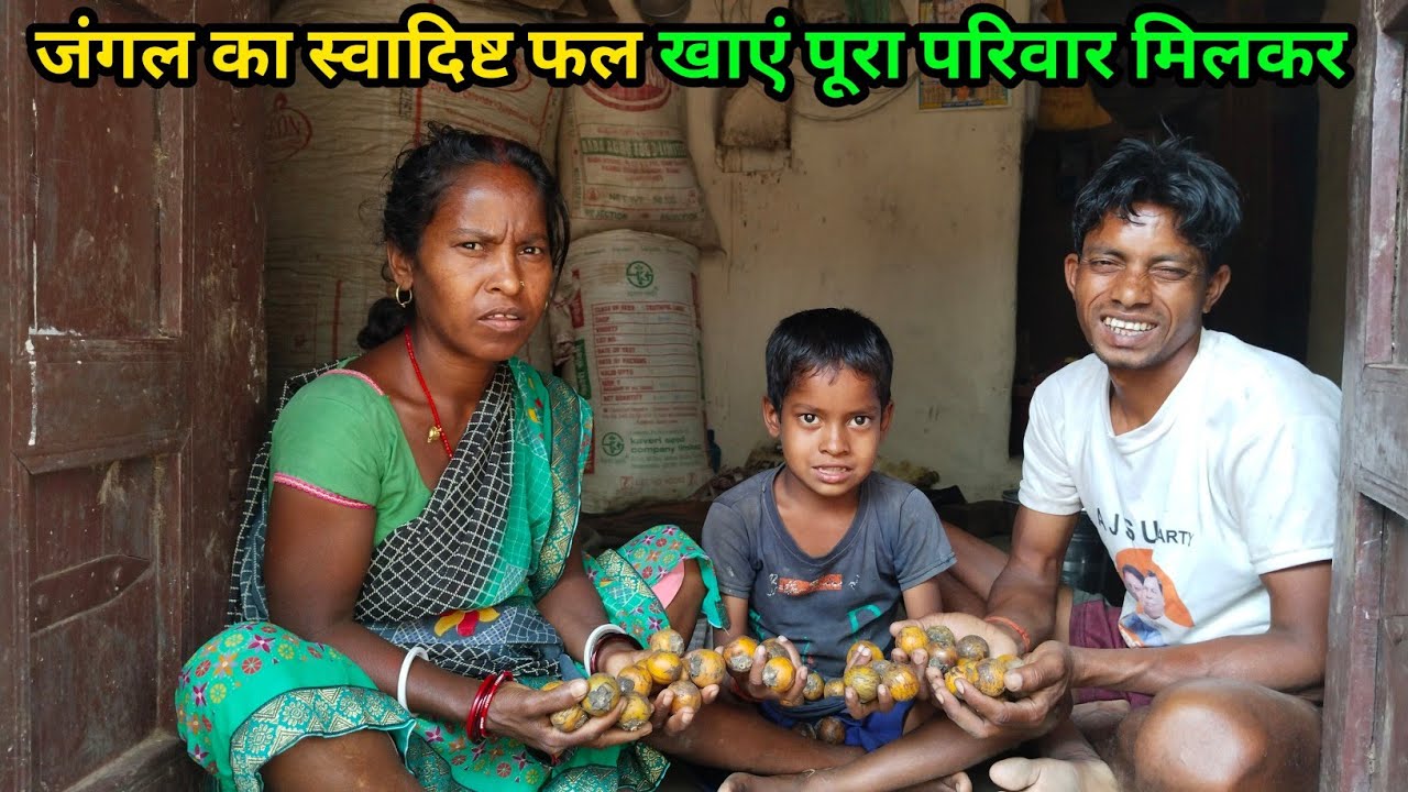 जंगल का स्वादिष्ट फल खाए पूरा परिवार मिलकर ॥ #budhanikiduniya