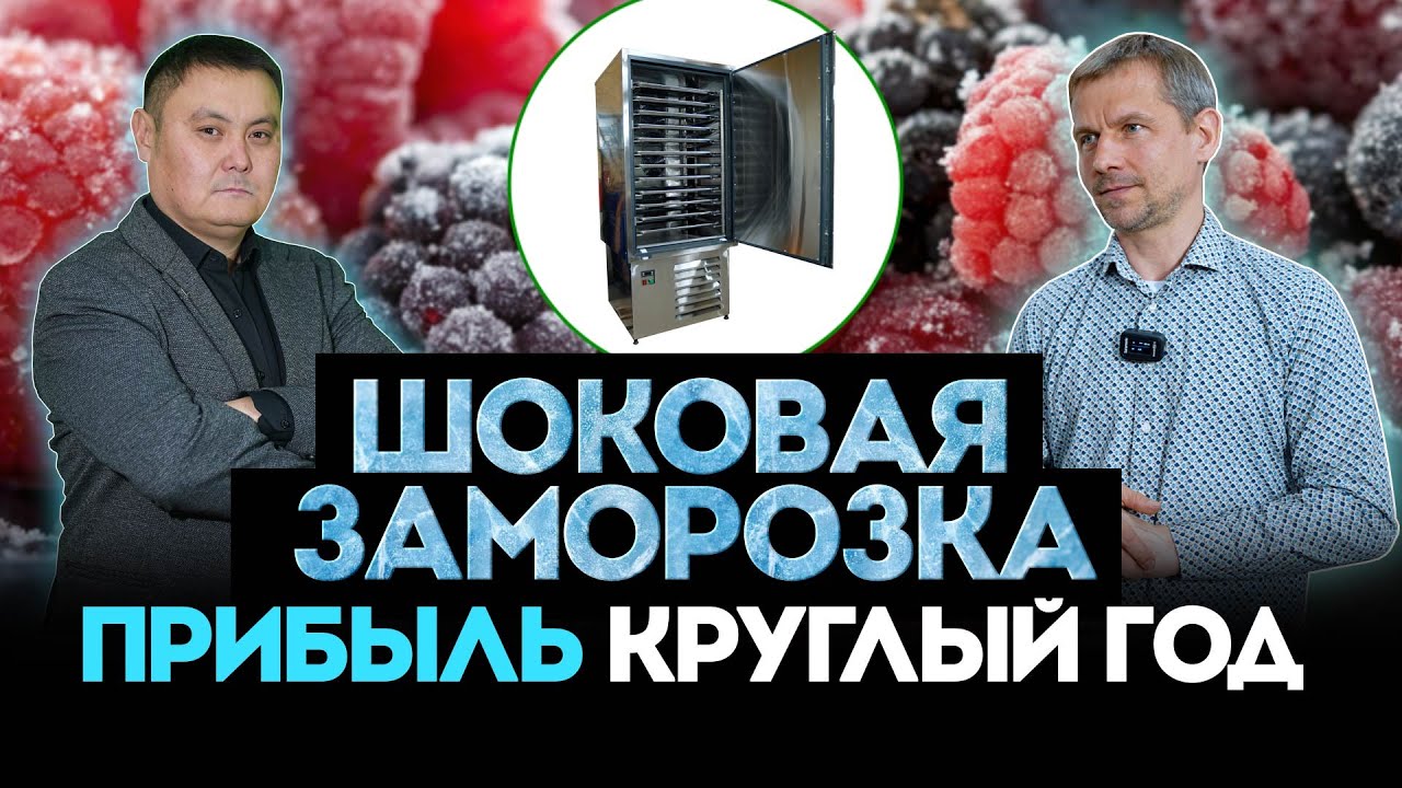 Как продать ягоды зимой и заработать в 3 раза больше? Секрет шоковой заморозки! Кыргызстан, Бишкек