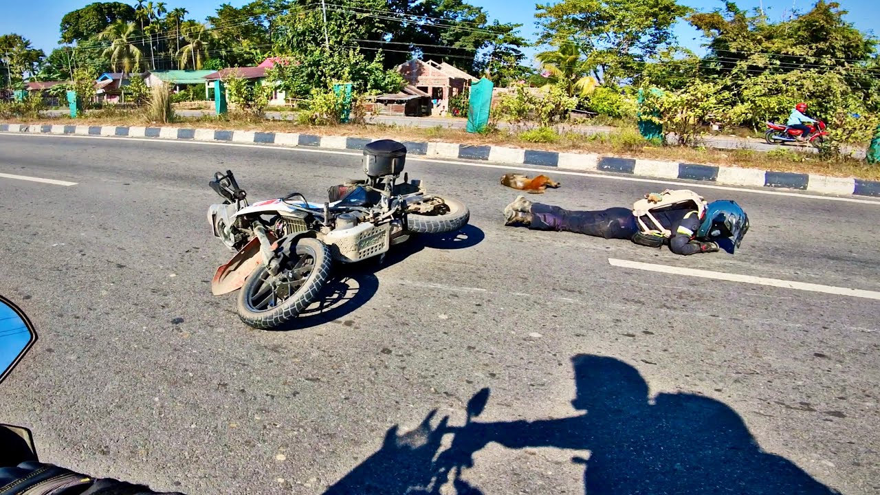 A Monkey ran into her Motorcycle!