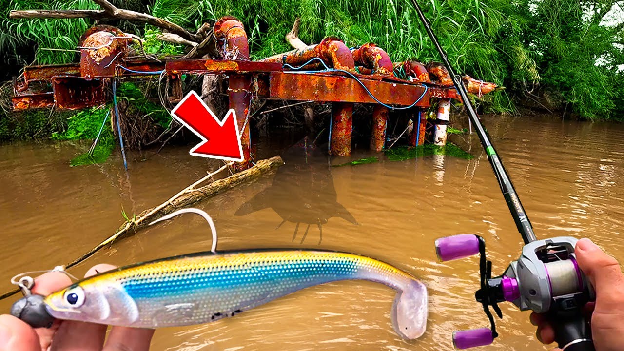 Un &Eacute;NORME Poisson de Mer en Eau douce ?! Cette rivi&egrave;re sauvage est pleine de suprises !
